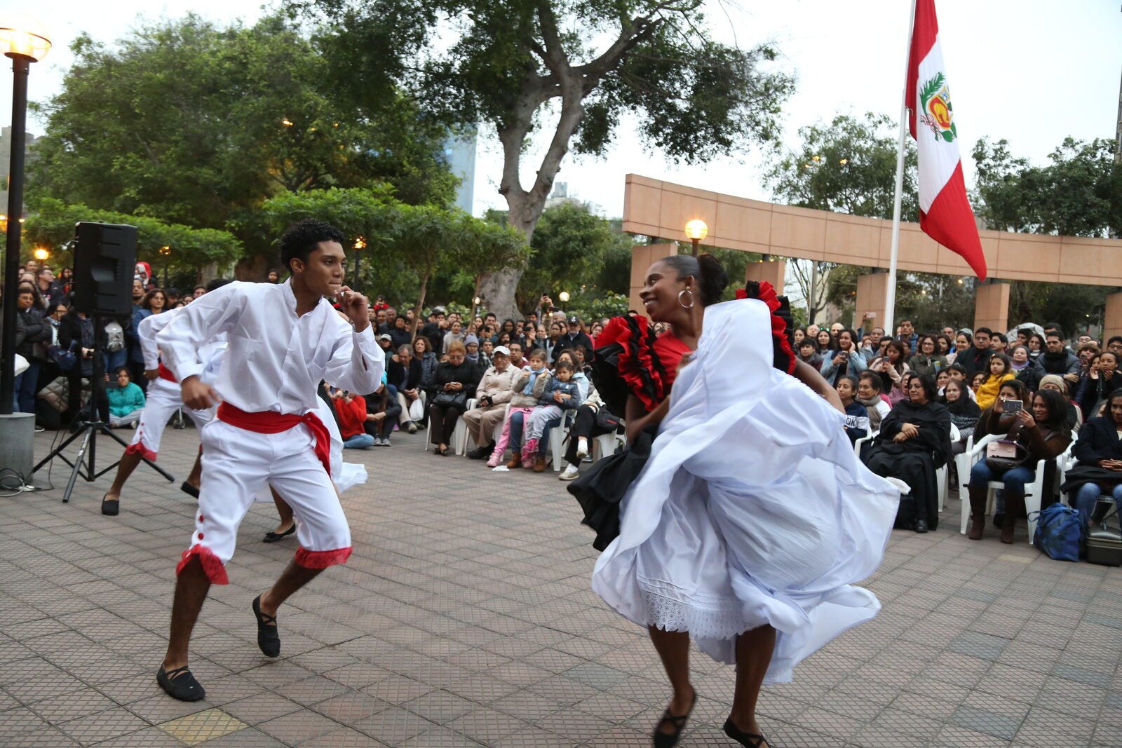 Danza Festejo